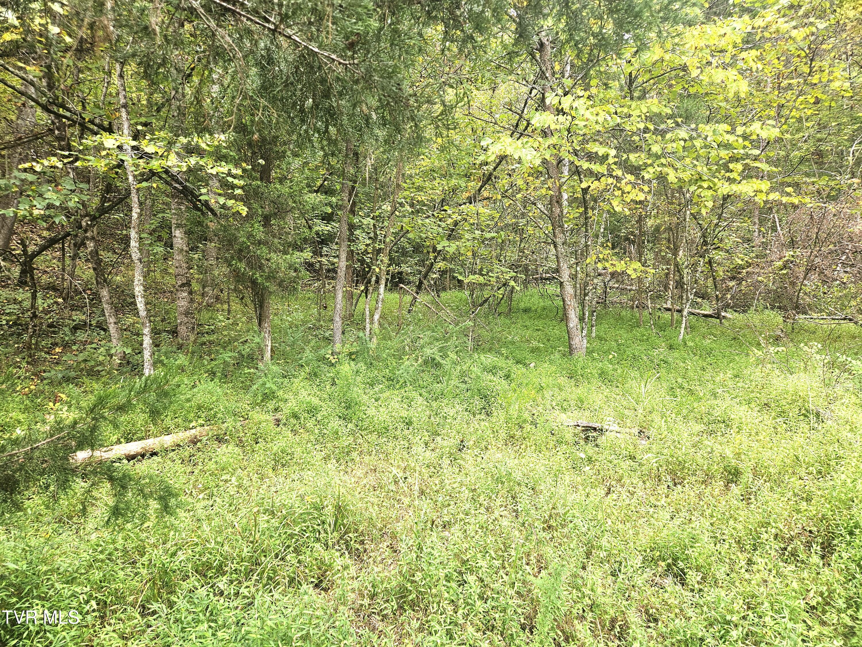 1741 Burem Road Rogersville, TN 37857 - Photo 18 of 37 30