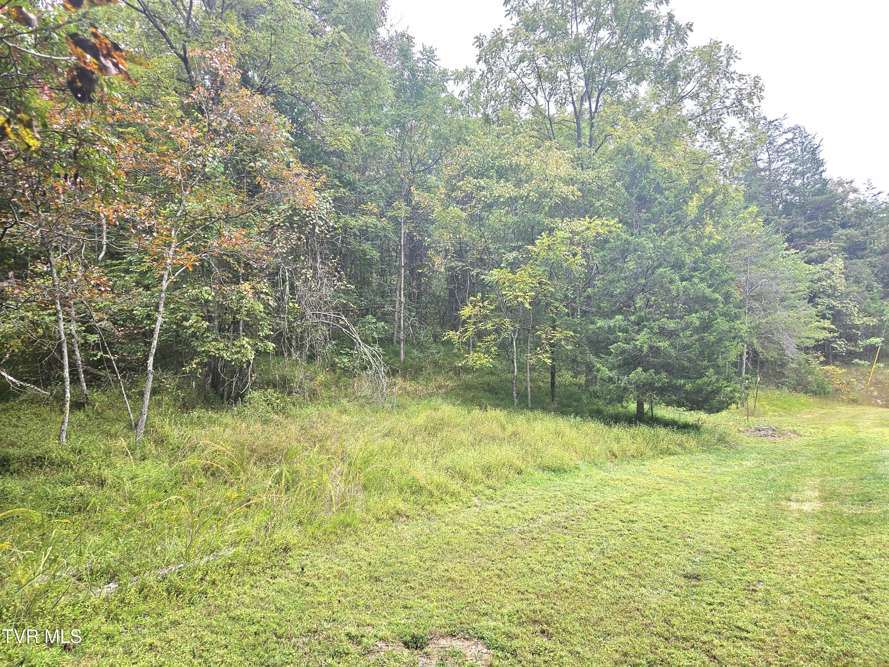 1741 Burem Road Rogersville, TN 37857 - Photo 19 of 37 31