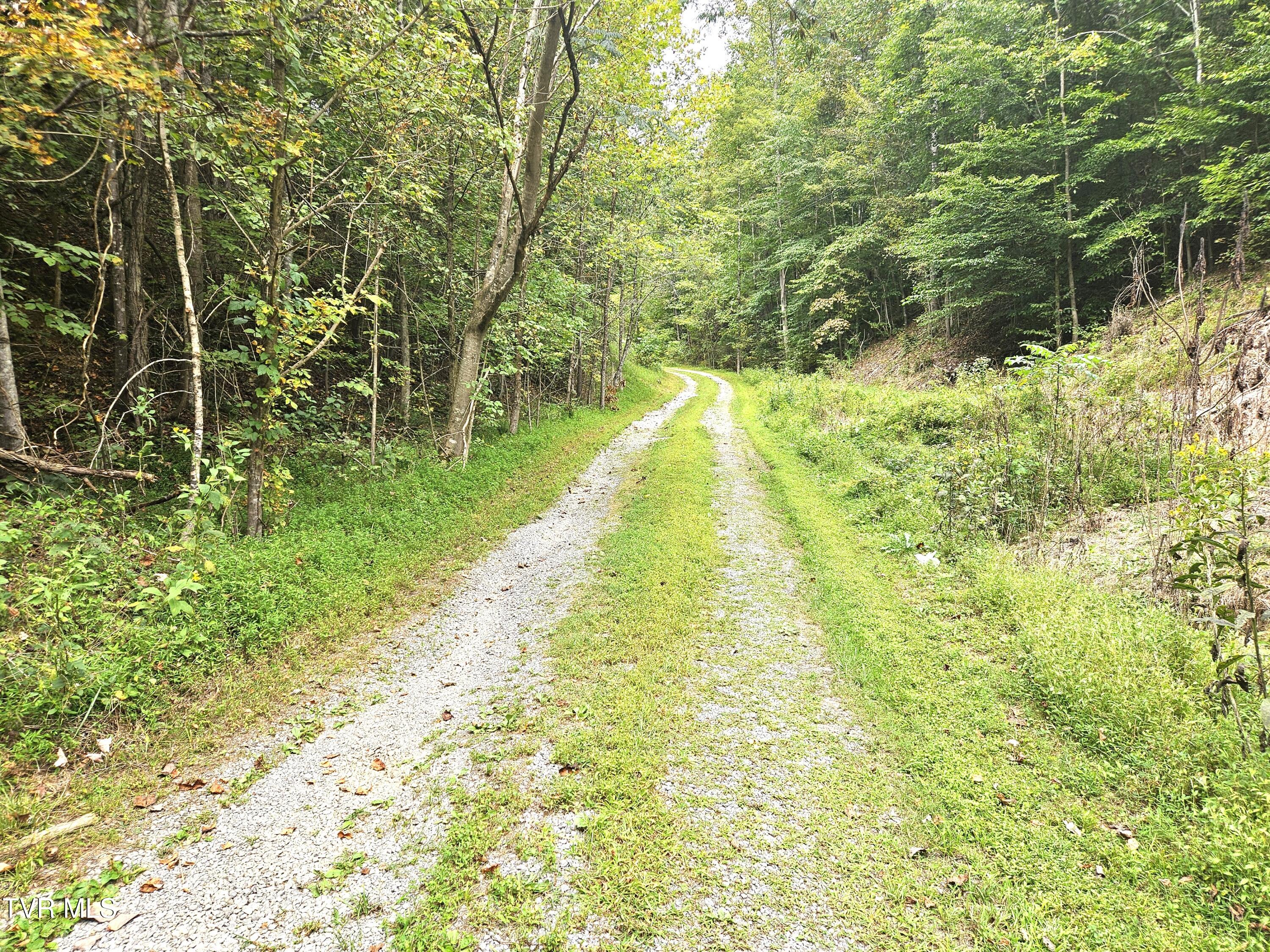 1741 Burem Road Rogersville, TN 37857 - Photo 2 of 37 37
