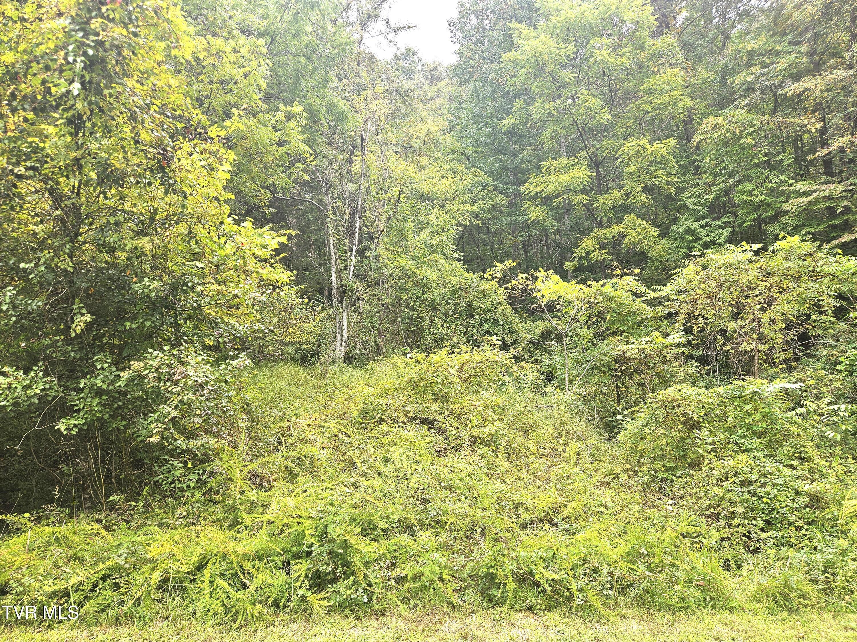 1741 Burem Road Rogersville, TN 37857 - Photo 21 of 37 34