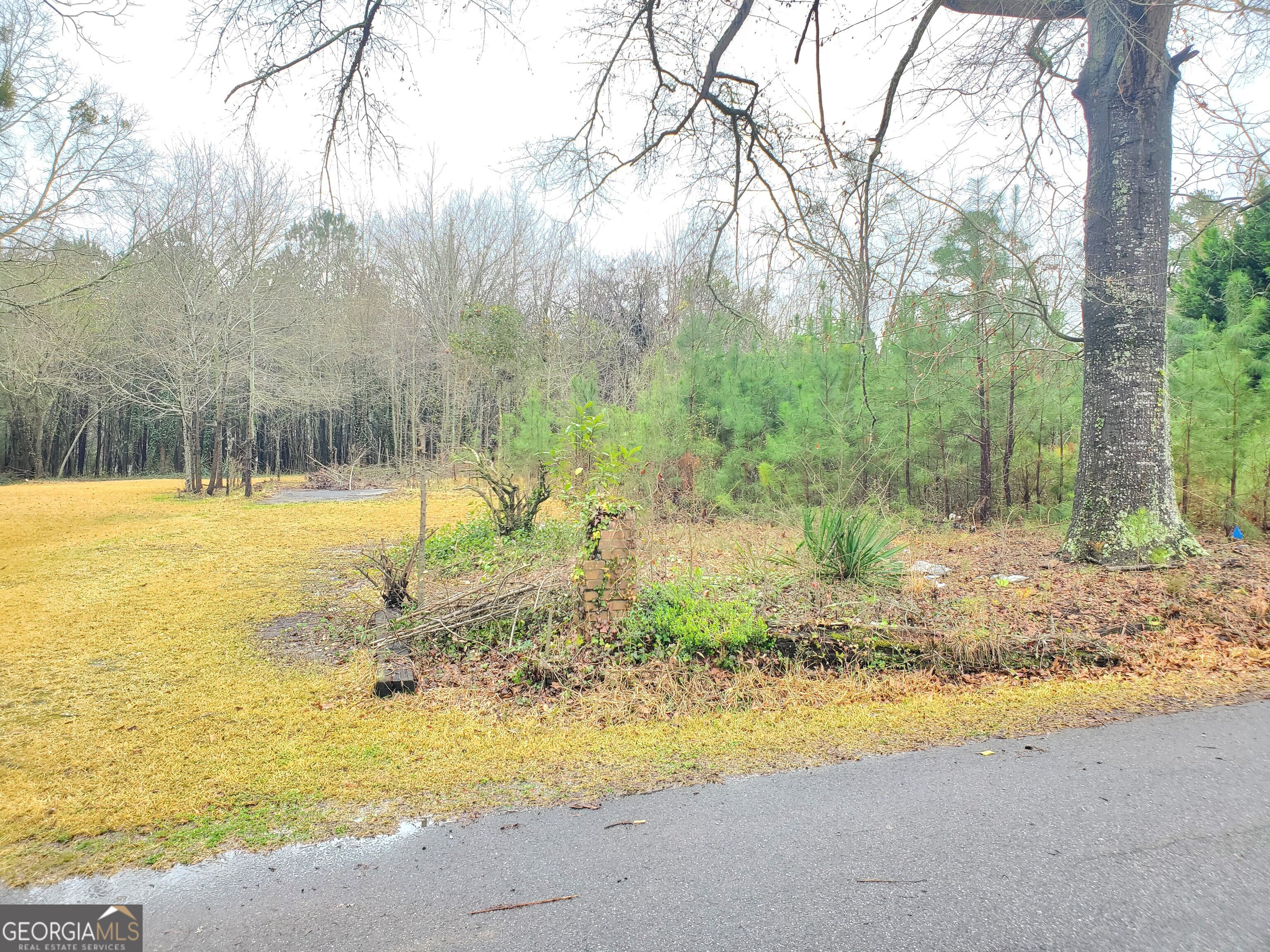 168 Peach Street Haddock, GA 31033 - Photo 2 of 11 a view of a yard with swimming pool