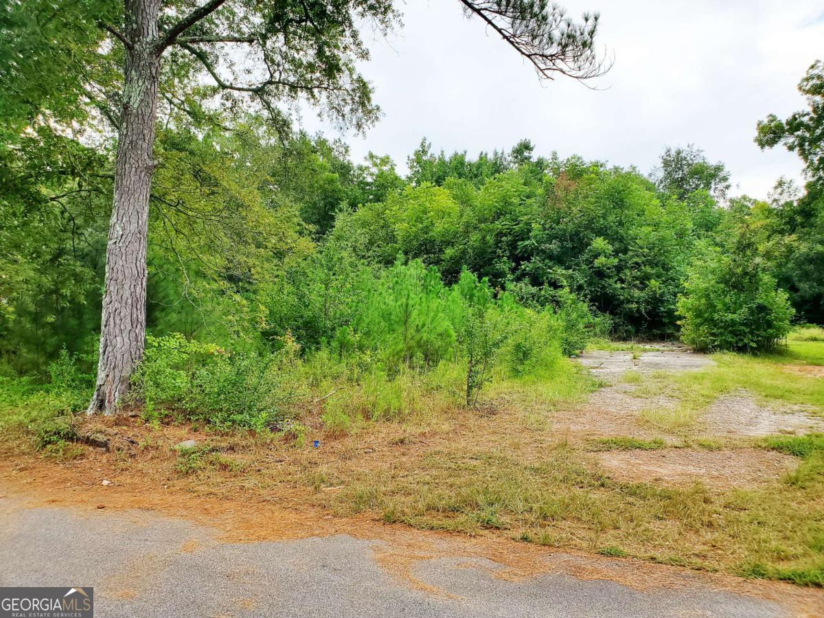 168 Peach Street Haddock, GA 31033 - Photo 2 of 8