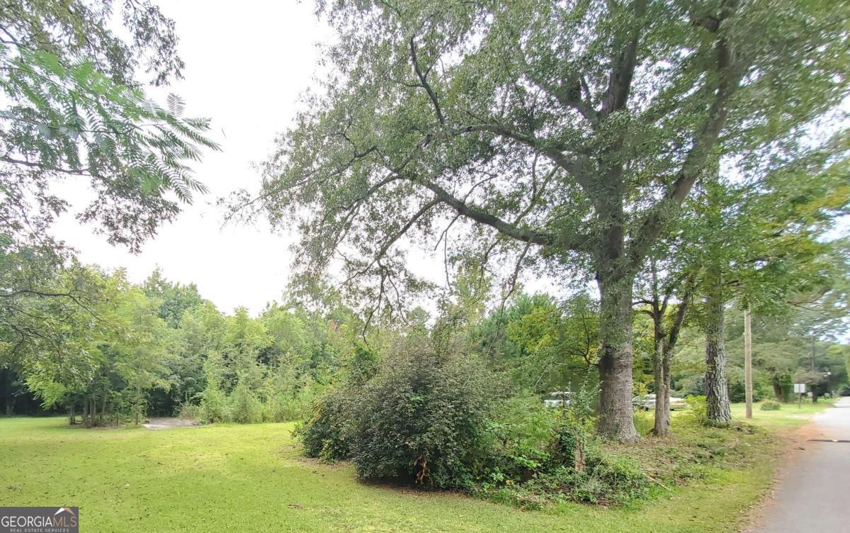 168 Peach Street Haddock, GA 31033 - Photo 3 of 11 a view of a trees with a yard