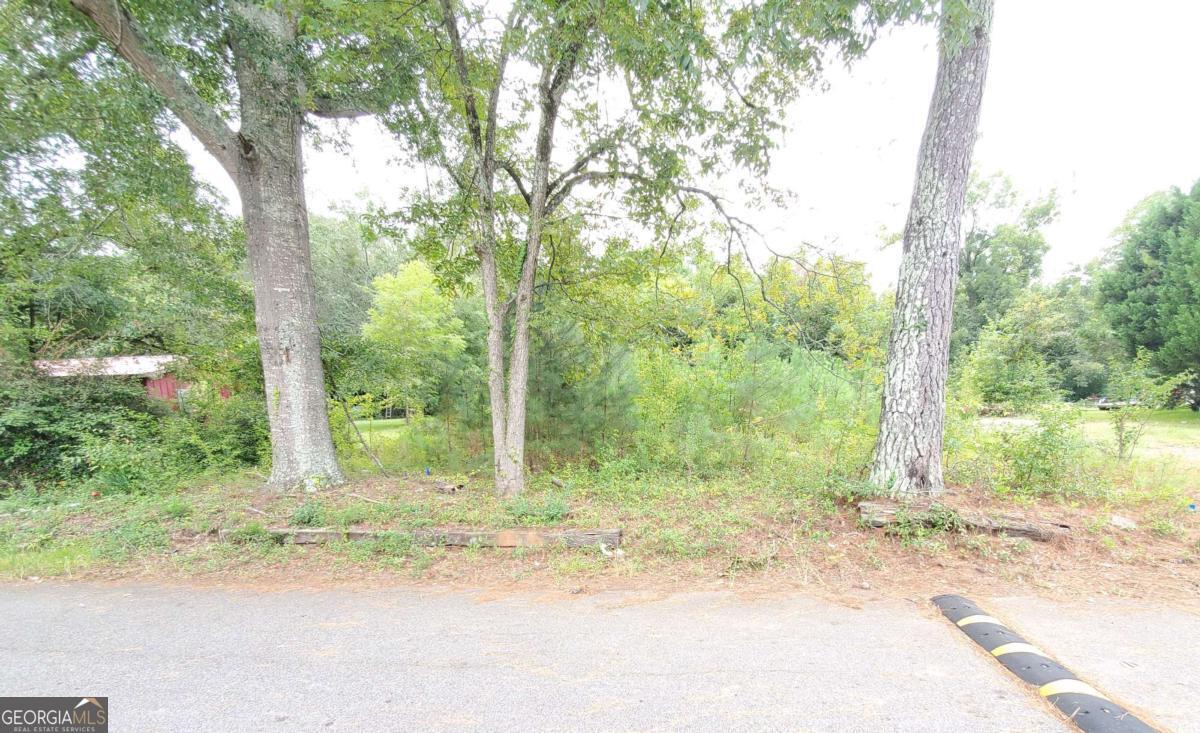 168 Peach Street Haddock, GA 31033 - Photo 3 of 8