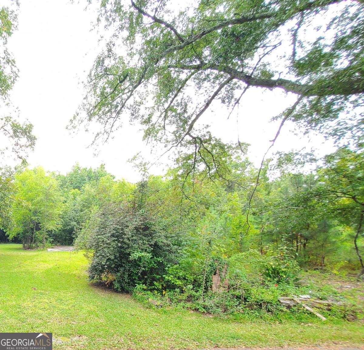 168 Peach Street Haddock, GA 31033 - Photo 6 of 11 a view of yard with an outdoor space
