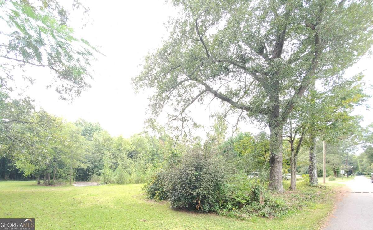 168 Peach Street Haddock, GA 31033 - Photo 7 of 11 a view of outdoor space with mountain view