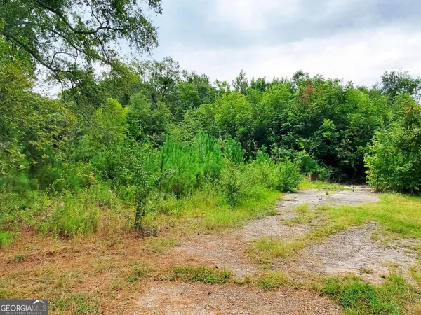 a view of a yard with a tree