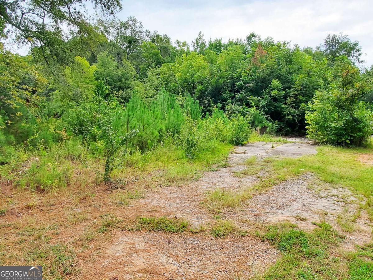 168 Peach Street Haddock, GA 31033 - Photo 10 of 11 a view of a yard with a tree