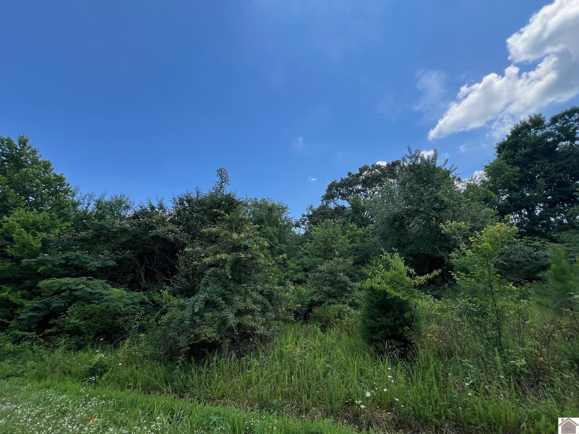 Lot 58 Western, Unit PHASE III Murray, KY 42071 - Photo 4 of 7 Photo 4