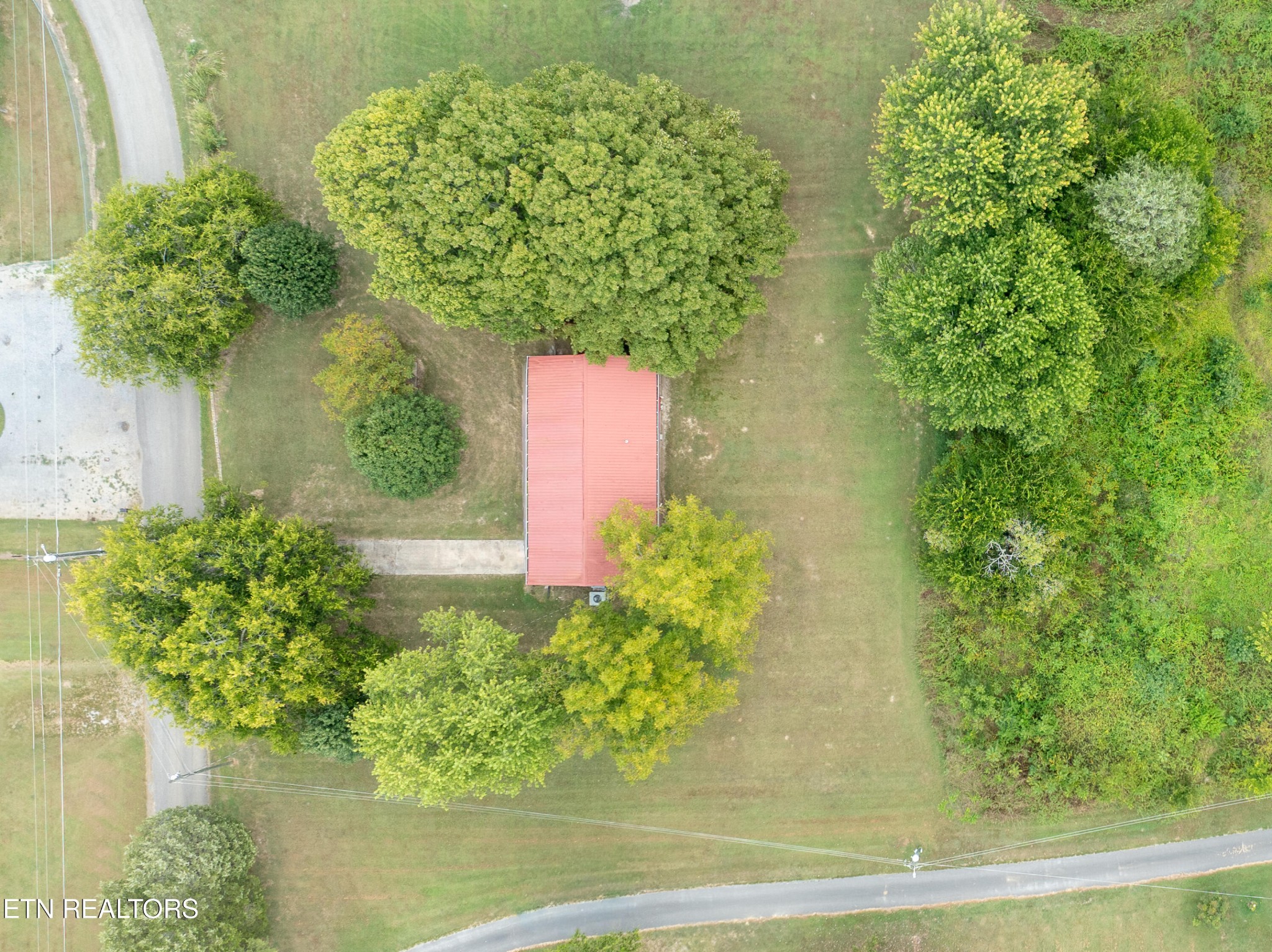 149 Moat Sewell Road Philadelphia, TN 37846 - Photo 27 of 35 a view of a garden with plants