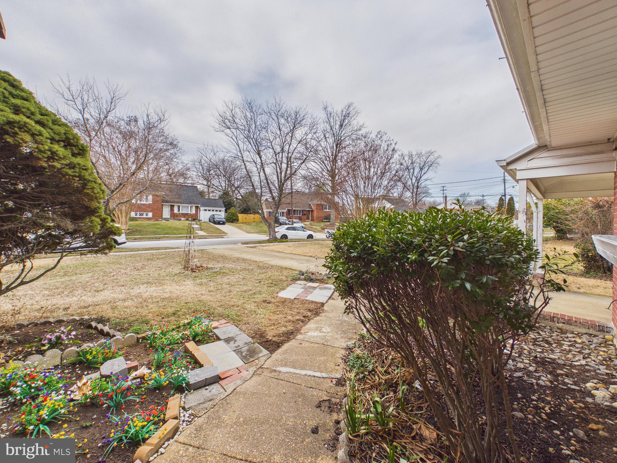 5907 Camberly Avenue Springfield, VA 22150 - Photo 37 of 41 a view of yard with tree in it