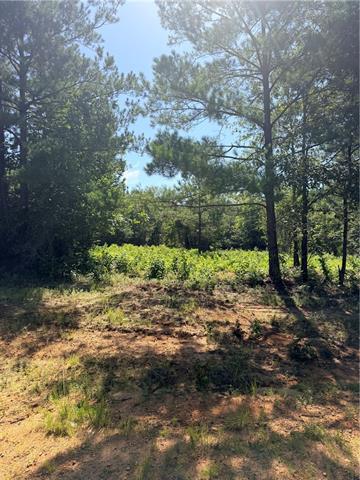 224 Hughart Road Bentley, LA 71407 - Photo 1 of 2