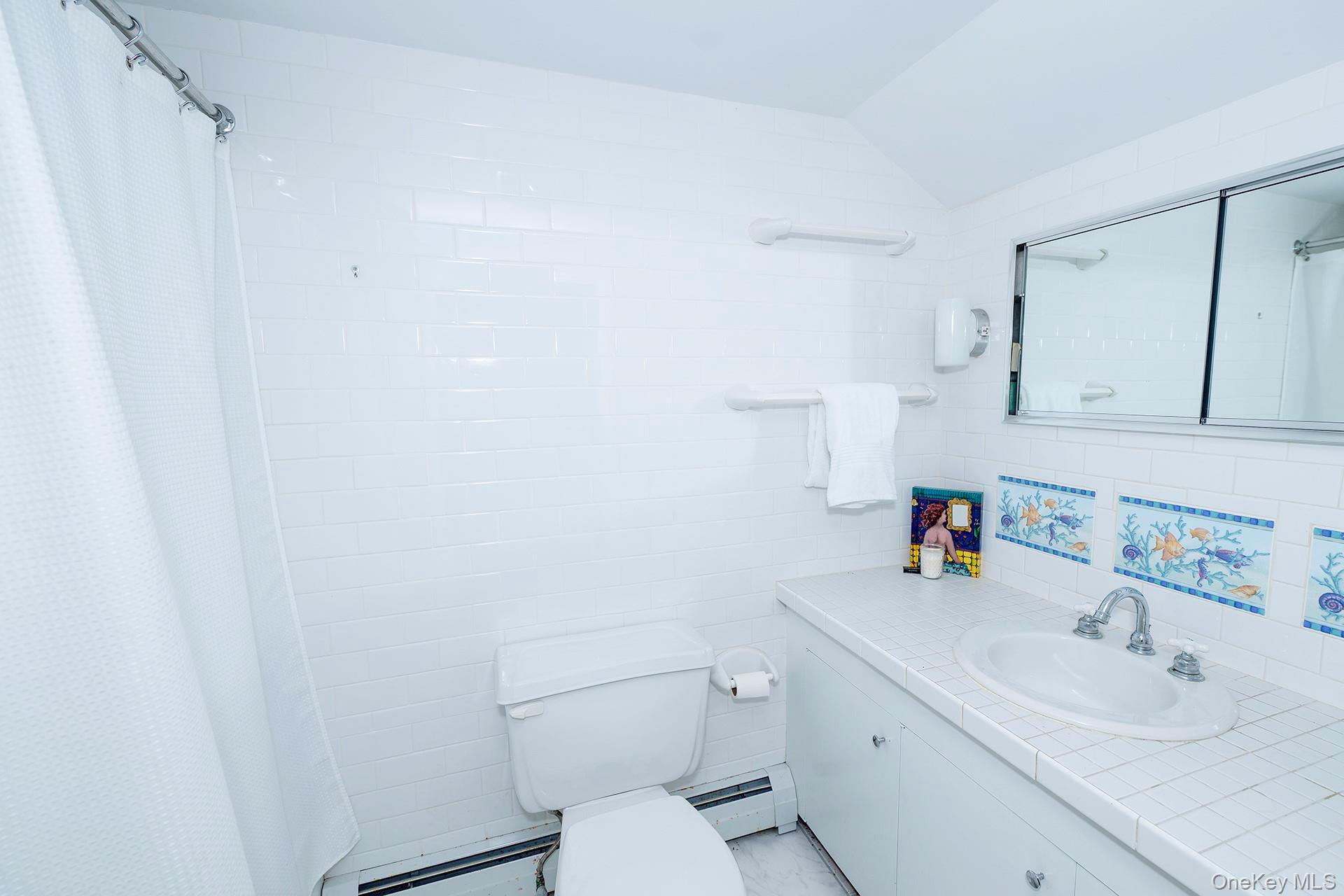 692 Bangall Road Millbrook, NY 12545 - Photo 19 of 30 a bathroom with a sink a toilet and vanity