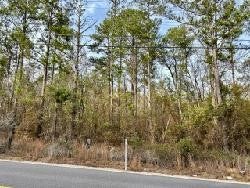 0 Gates Road Opelika, AL 36804 - Photo 2 of 3 Gallery Image 2