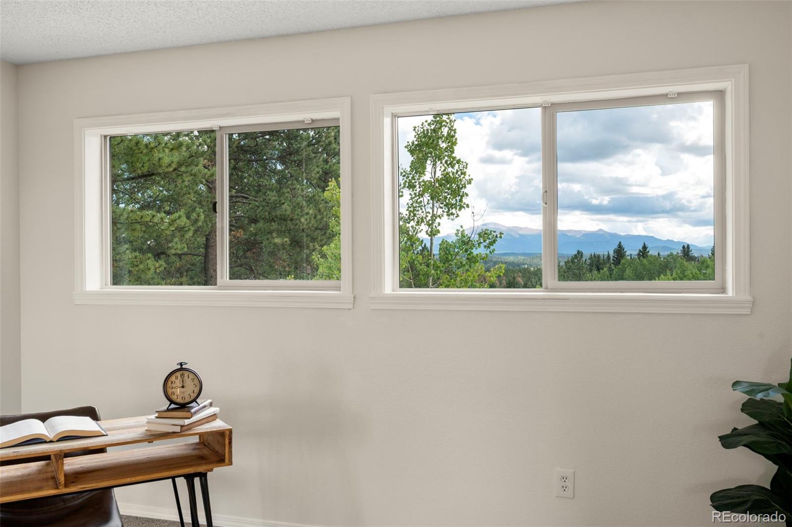 4710 Wildhorn Road Florissant, CO 80816 - Photo 20 of 41