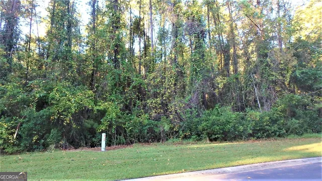 $27,900 | V/l 29 Misty Harbor, Woodbine, GA 31569