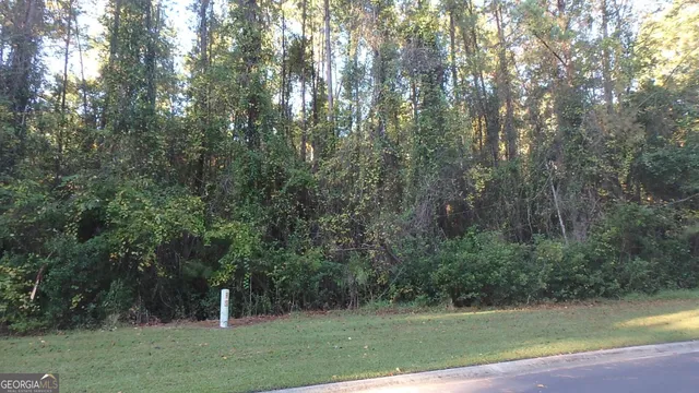 $27,900 | V/l 29 Misty Harbor, Woodbine, GA 31569