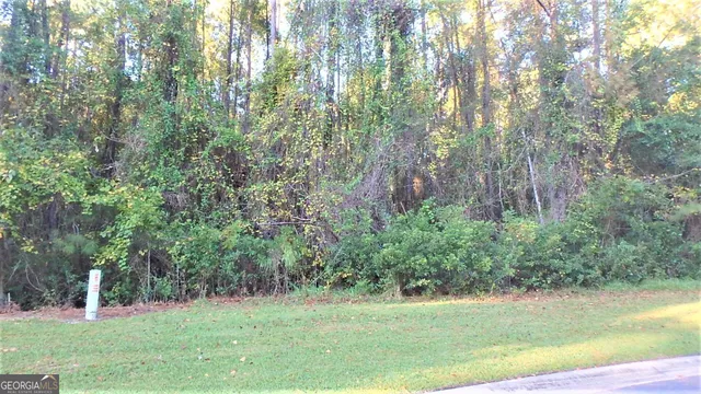 $27,900 | V/l 29 Misty Harbor, Woodbine, GA 31569