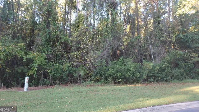 $27,900 | V/l 29 Misty Harbor, Woodbine, GA 31569