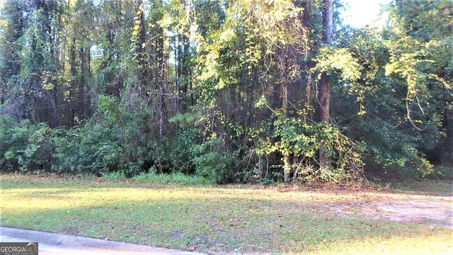 $27,900 | V/l 29 Misty Harbor, Woodbine, GA 31569