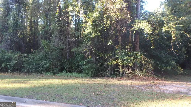 $27,900 | V/l 29 Misty Harbor, Woodbine, GA 31569
