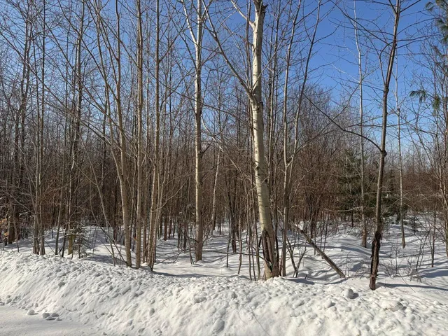 $99,900 | 0 Burke Green Road, Unit 2, East Burke, VT 05832