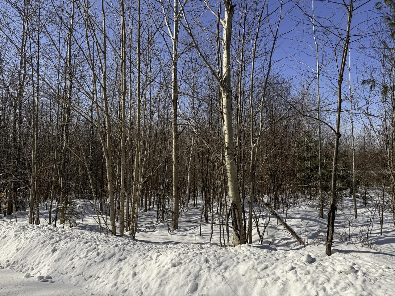 0 Burke Green Road, Unit 2 East Burke, VT 05832 - Photo 11 of 46 Gallery Image 11