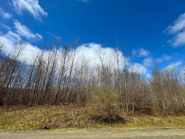 $99,900 | 0 Burke Green Road, Unit 2, East Burke, VT 05832