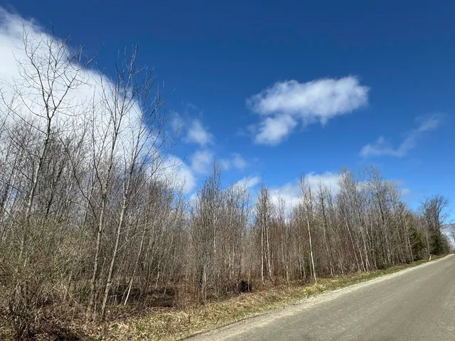 $99,900 | 0 Burke Green Road, Unit 2, East Burke, VT 05832