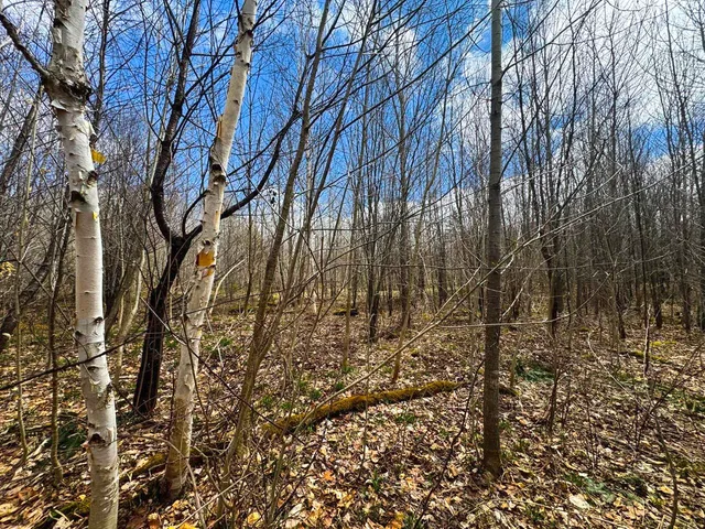 $99,900 | 0 Burke Green Road, Unit 2, East Burke, VT 05832