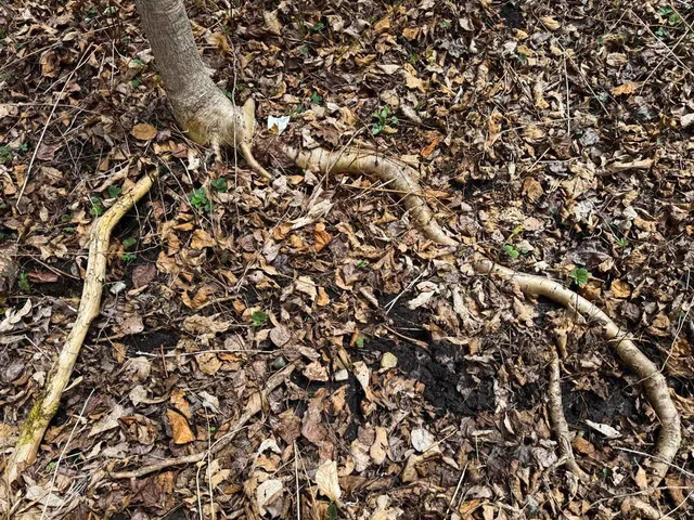 $99,900 | 0 Burke Green Road, Unit 2, East Burke, VT 05832