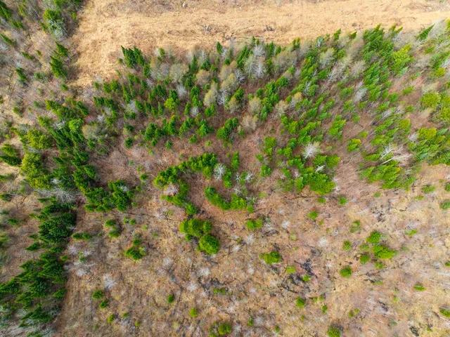 $99,900 | 0 Burke Green Road, Unit 2, East Burke, VT 05832