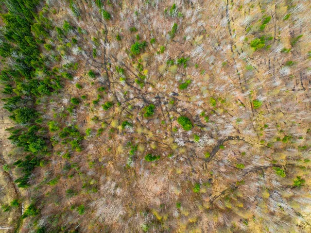 $99,900 | 0 Burke Green Road, Unit 2, East Burke, VT 05832