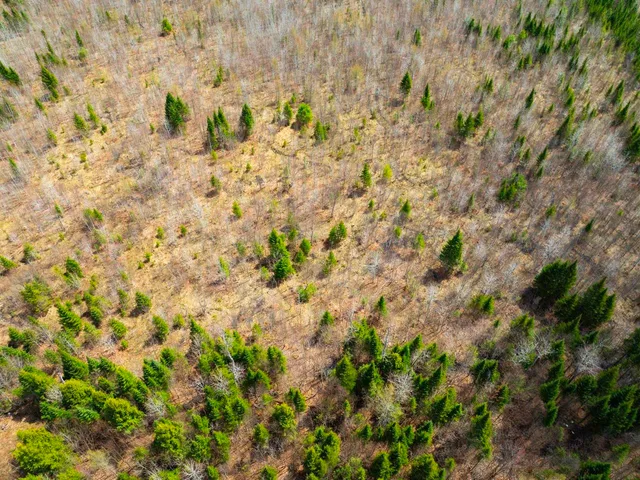 $99,900 | 0 Burke Green Road, Unit 2, East Burke, VT 05832