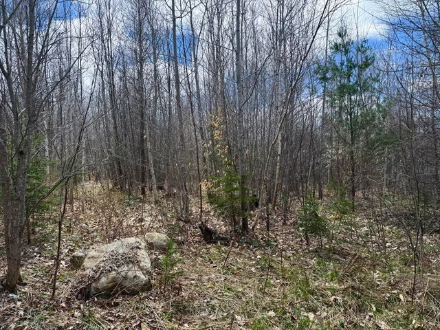 $99,900 | 0 Burke Green Road, Unit 2, East Burke, VT 05832