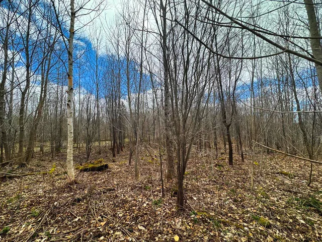 $99,900 | 0 Burke Green Road, Unit 2, East Burke, VT 05832