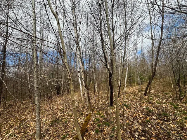 $99,900 | 0 Burke Green Road, Unit 2, East Burke, VT 05832