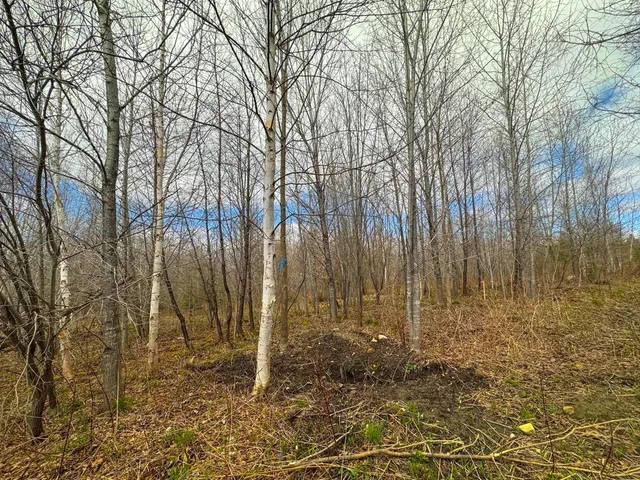 $99,900 | 0 Burke Green Road, Unit 2, East Burke, VT 05832