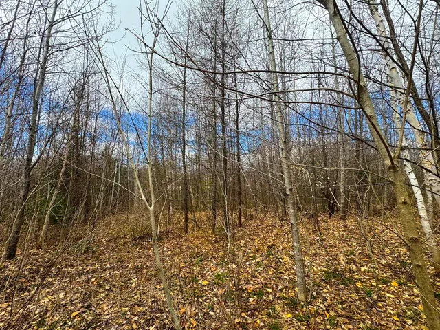 $99,900 | 0 Burke Green Road, Unit 2, East Burke, VT 05832