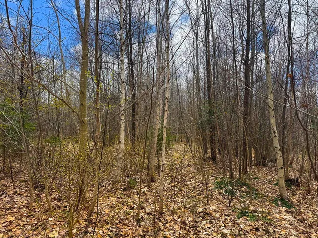 $99,900 | 0 Burke Green Road, Unit 2, East Burke, VT 05832