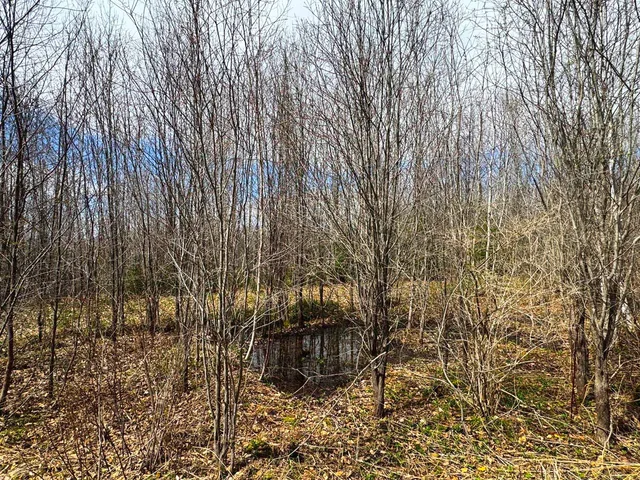 $99,900 | 0 Burke Green Road, Unit 2, East Burke, VT 05832