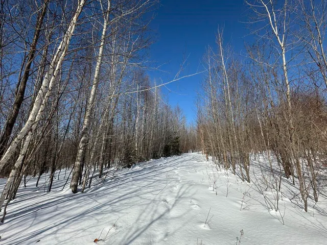 $99,900 | 0 Burke Green Road, Unit 2, East Burke, VT 05832