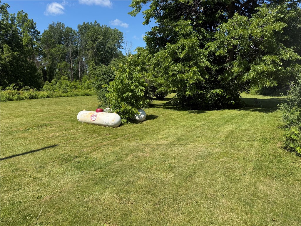 4335 Salt Works Road Shelby, NY 14103 - Photo 3 of 9