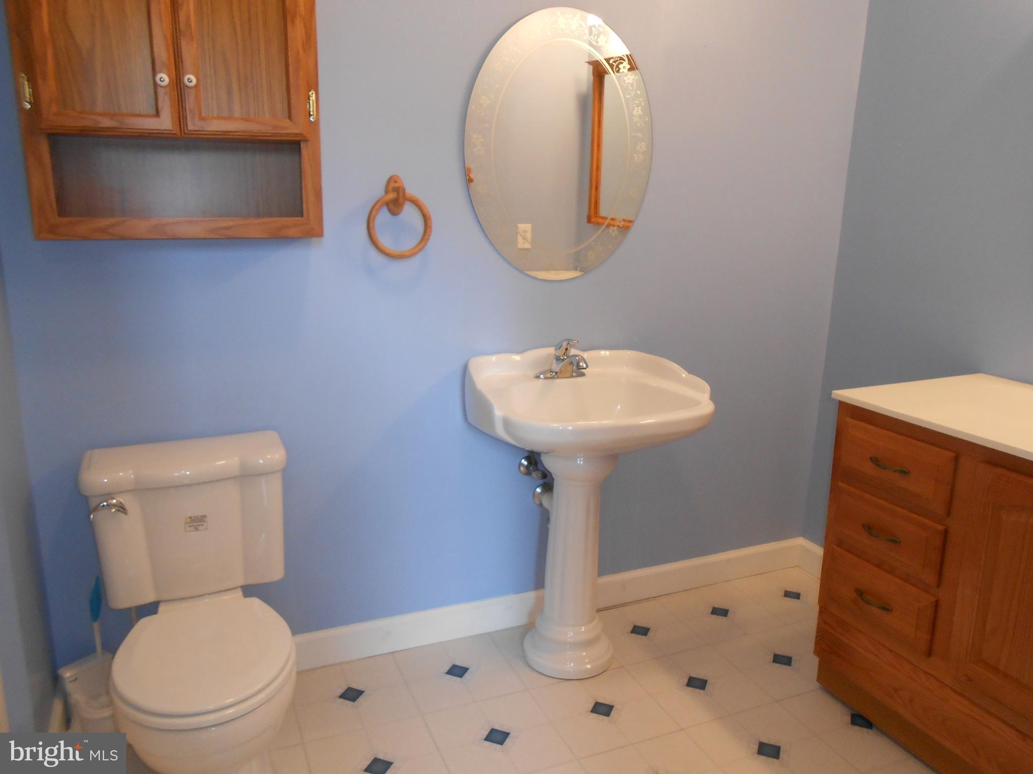 5334 Dickerson Road Partlow, VA 22534 - Photo 28 of 41 Lower Level Full Bath