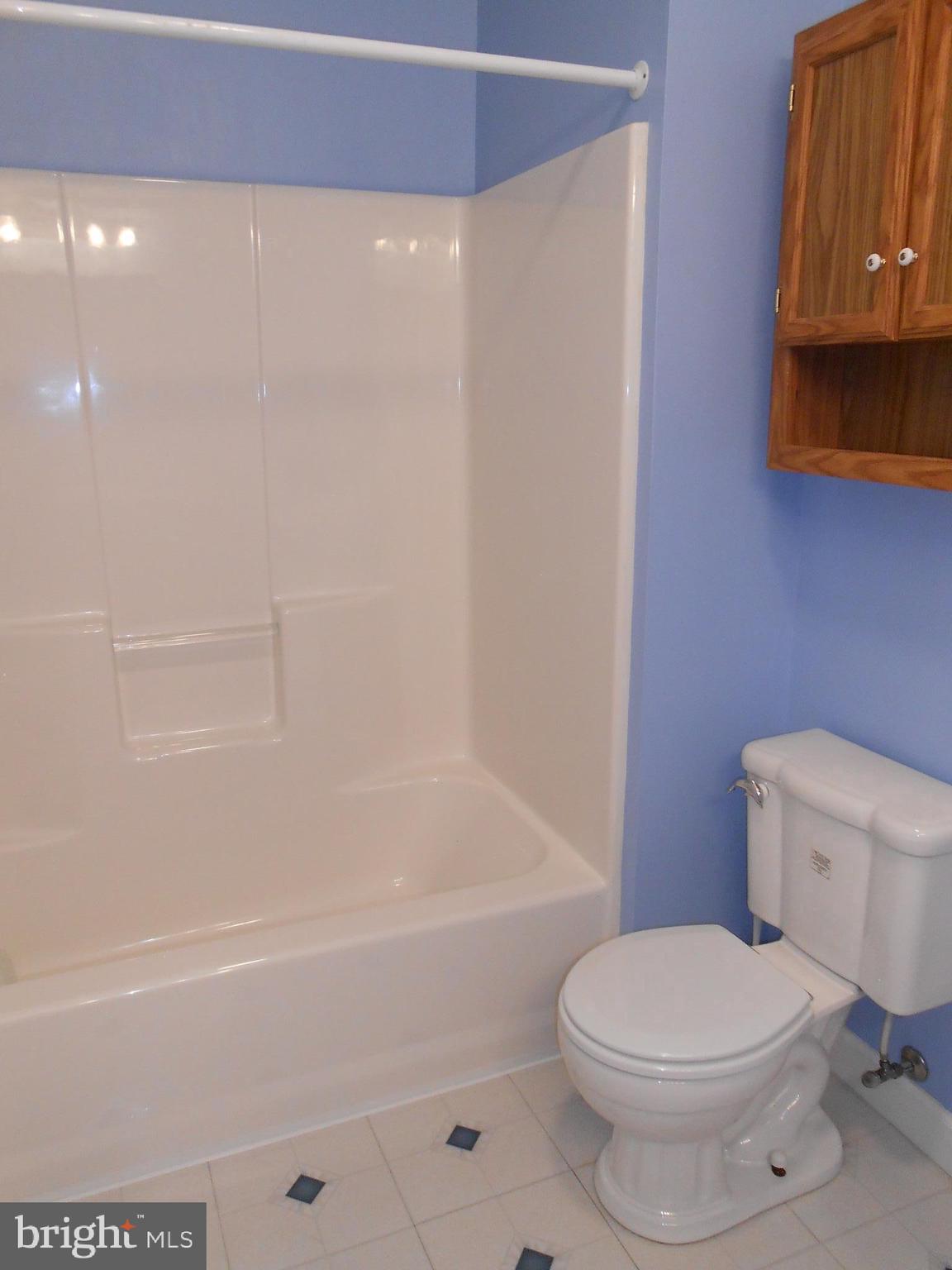 5334 Dickerson Road Partlow, VA 22534 - Photo 29 of 41 Lower Level Full Bath