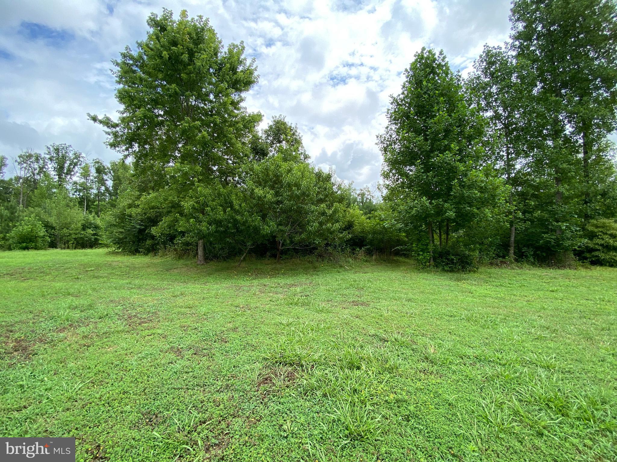 5334 Dickerson Road Partlow, VA 22534 - Photo 6 of 41 Peace & Privacy