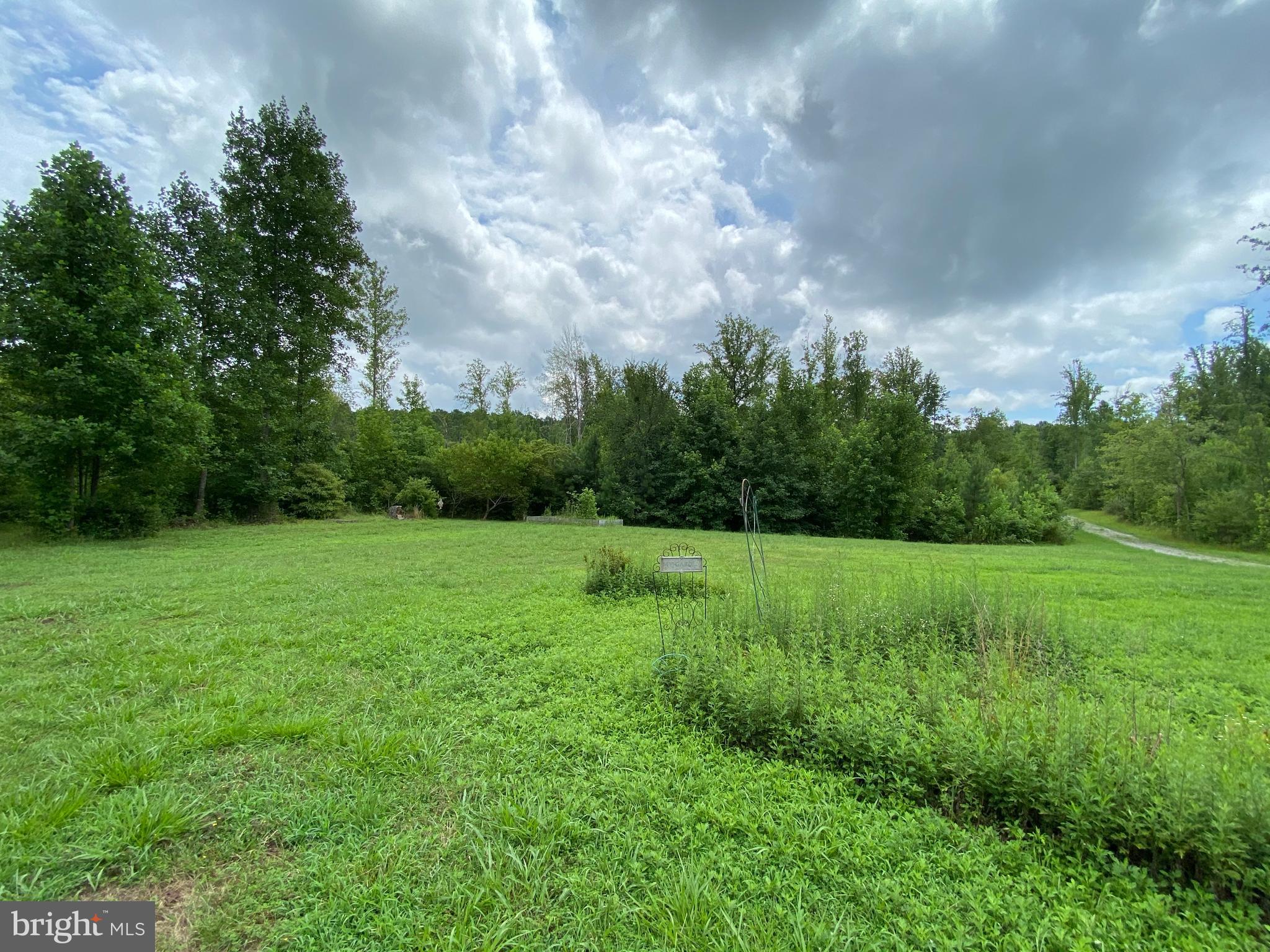 5334 Dickerson Road Partlow, VA 22534 - Photo 7 of 41 Huge Yard!