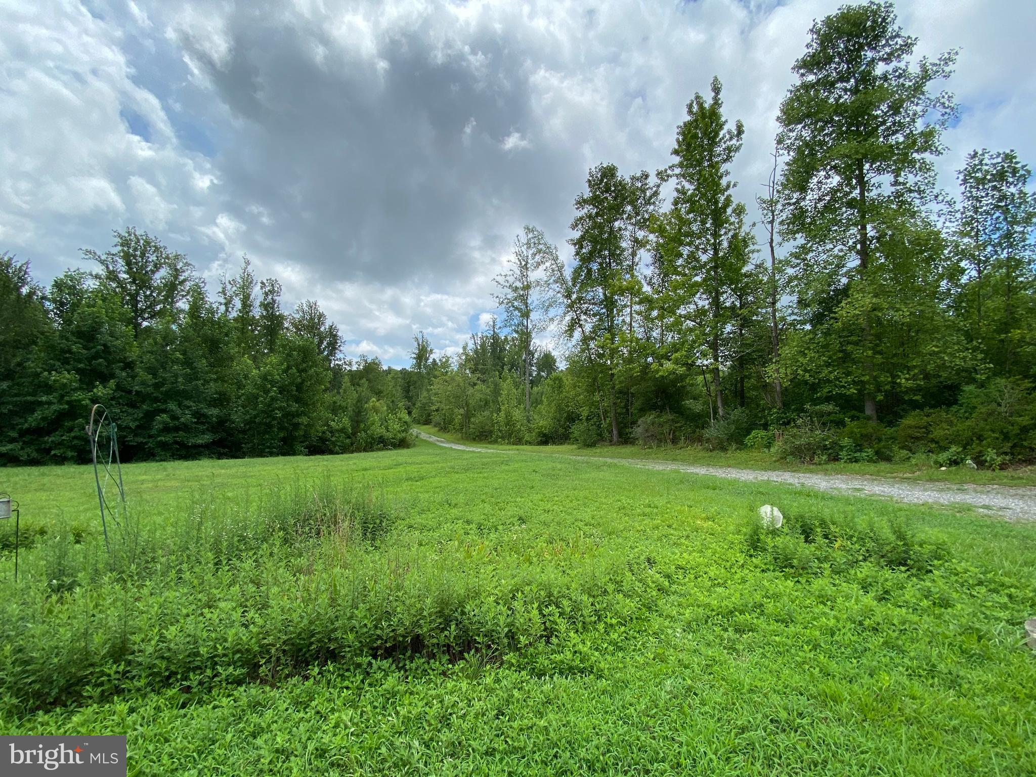 5334 Dickerson Road Partlow, VA 22534 - Photo 8 of 41 Private Driveway