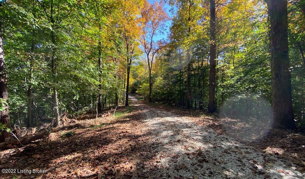 River View Fall166