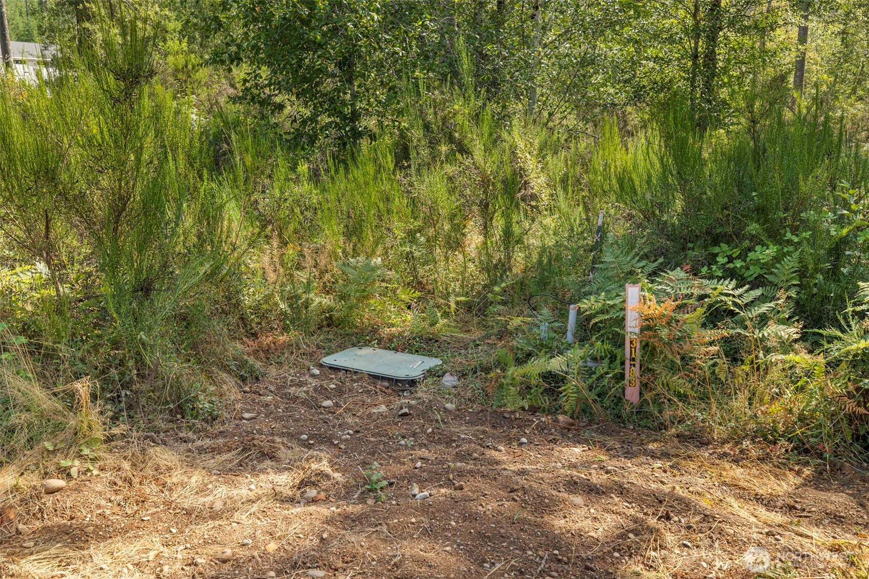 111 Northeast Ridgetop Crossing Belfair, WA 98528 - Photo 11 of 23 Gallery Image 11
